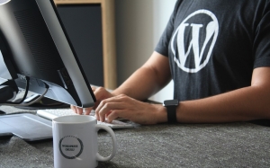 Unleashing the Potential of Web Agency Miami: Empowering Businesses through WordPress Website Creation